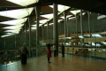 Egipt 2010 (81)