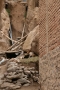 IRAN 2009 044