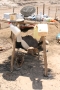 IRAN 2009 717