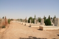 IRAN 2009 802