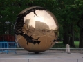 New York (29)
