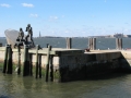 New York (47)