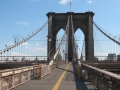 New York (51)