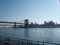 New York (52)