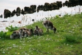 Tervuren Africa Museum 016