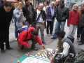 vienna 2010 046